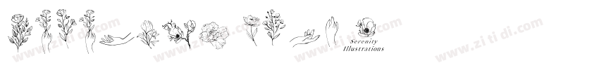 Serenity Bold字体转换